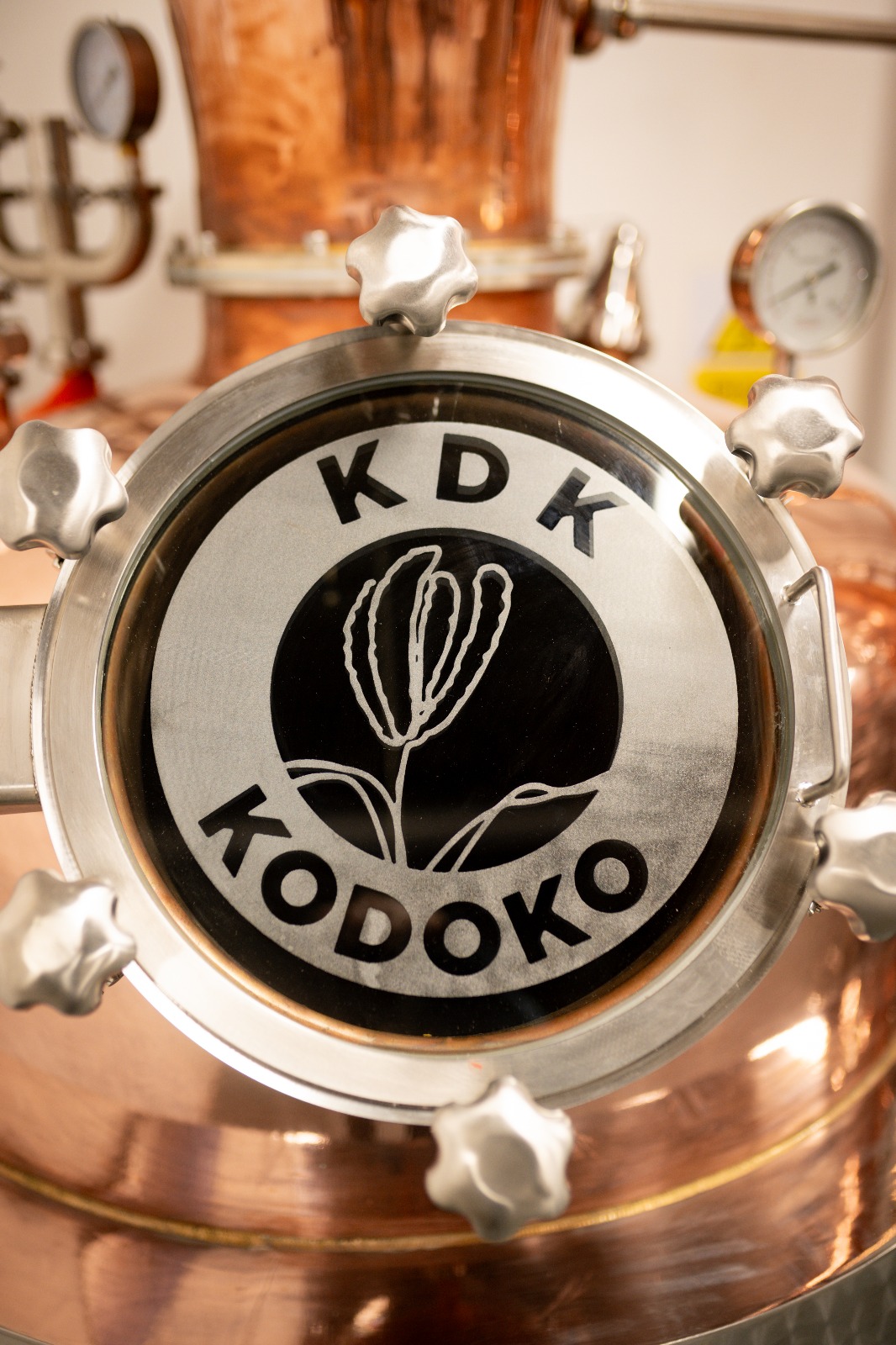 Kodoko logo
