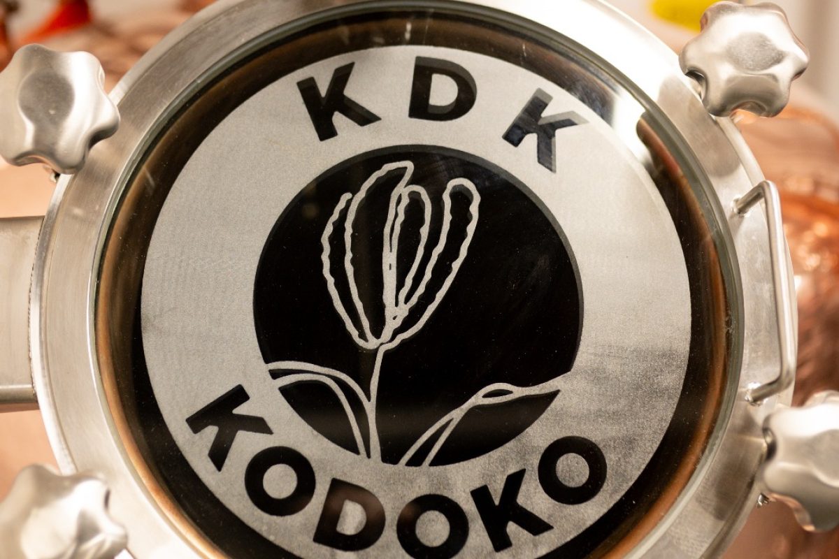 Kodoko logo